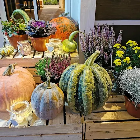 Gorska Latarnia * Wölfelsgrund