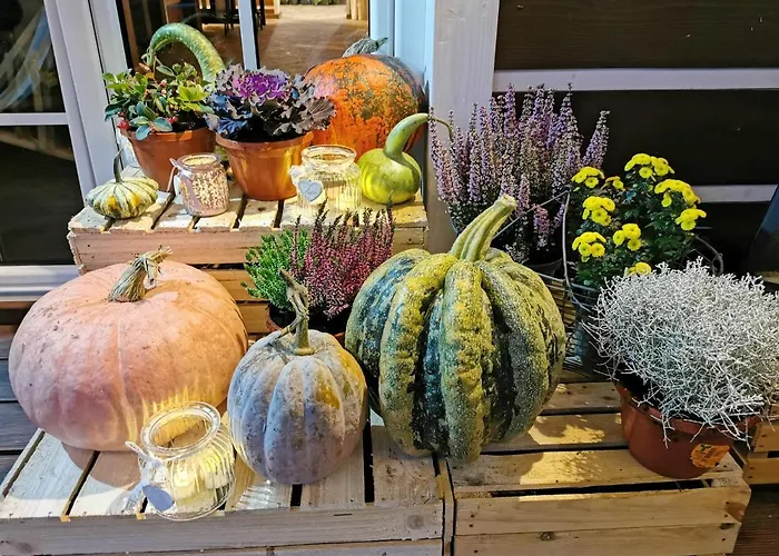 Gorska Latarnia * מיוודז'יגורז'ה